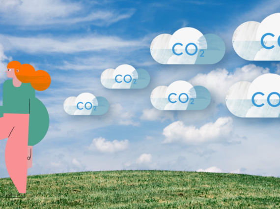 What Is Carbon Insetting? - It pays to go green!