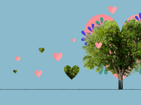 It’s good to be friends with trees - It pays to go green!