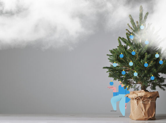 A live or artificial Christmas tree? - It pays to go green!