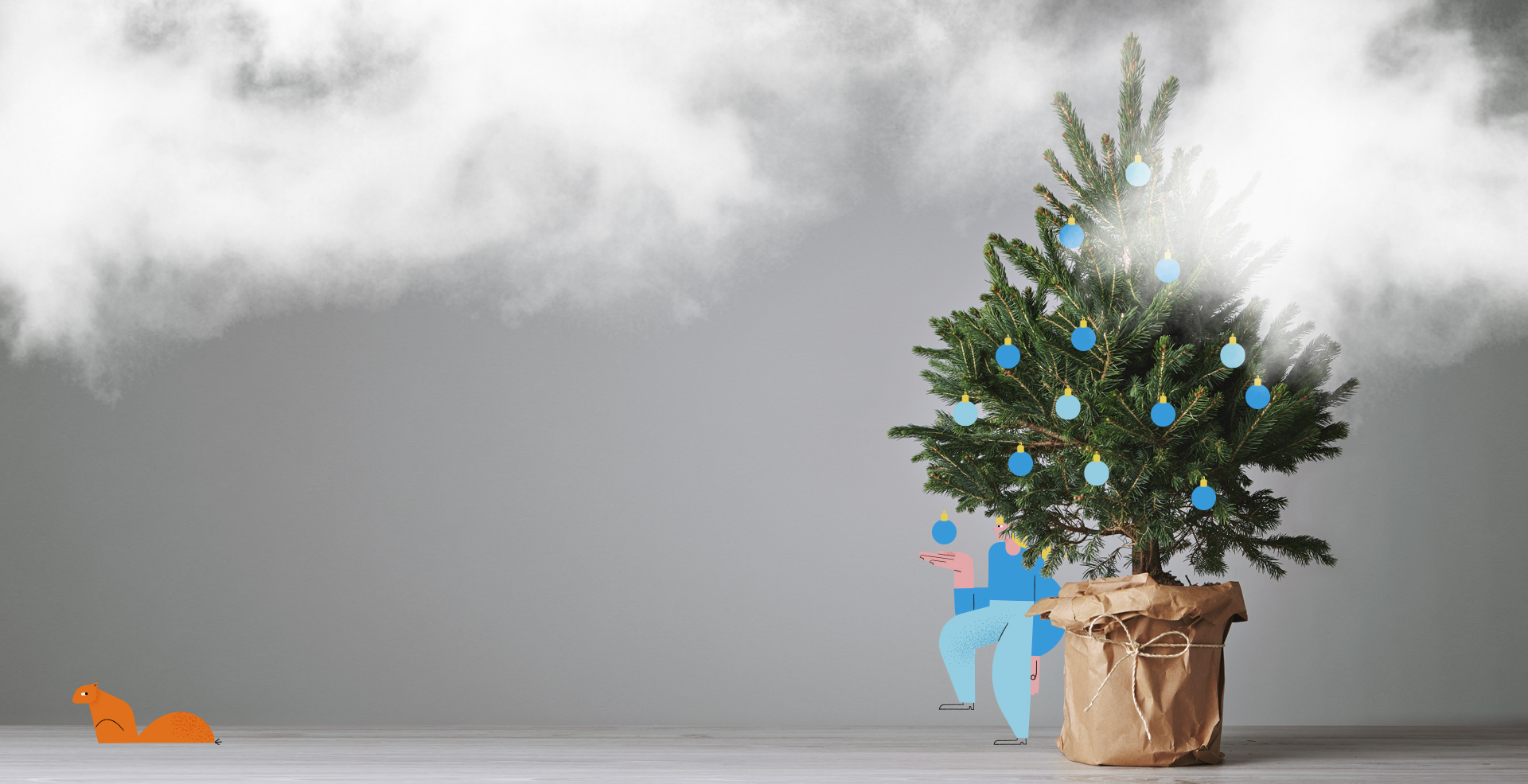 A live or artificial Christmas tree? - It pays to go green!